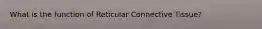 What is the function of Reticular Connective Tissue?