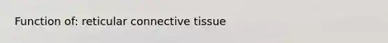 Function of: reticular connective tissue