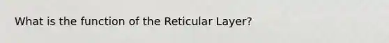 What is the function of the Reticular Layer?