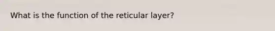 What is the function of the reticular layer?