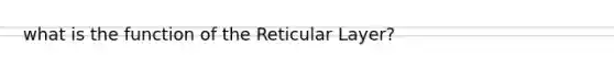 what is the function of the Reticular Layer?