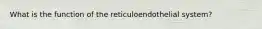 What is the function of the reticuloendothelial system?