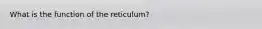 What is the function of the reticulum?