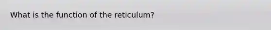 What is the function of the reticulum?