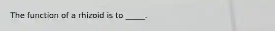 The function of a rhizoid is to _____.