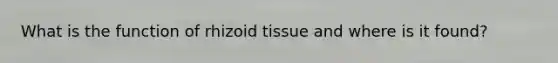 What is the function of rhizoid tissue and where is it found?