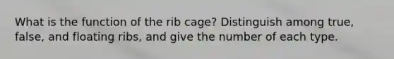 What is the function of the rib cage? Distinguish among true, false, and floating ribs, and give the number of each type.