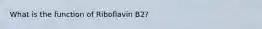 What is the function of Riboflavin B2?