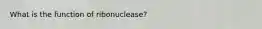 What is the function of ribonuclease?