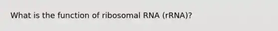 What is the function of ribosomal RNA (rRNA)?