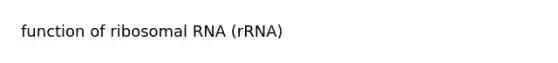 function of ribosomal RNA (rRNA)