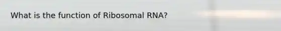 What is the function of Ribosomal RNA?