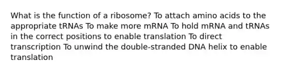 What is the function of a ribosome? To attach amino acids to the appropriate tRNAs To make more mRNA To hold mRNA and tRNAs in the correct positions to enable translation To direct transcription To unwind the double-stranded DNA helix to enable translation