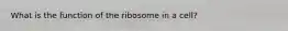 What is the function of the ribosome in a cell?