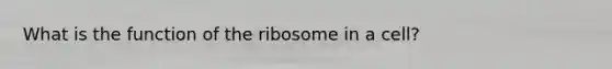 What is the function of the ribosome in a cell?