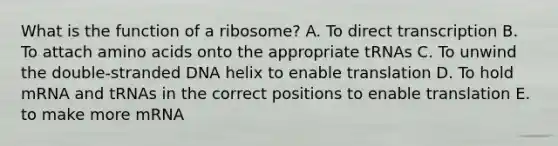 What is the function of a ribosome? A. To direct transcription B. To attach <a href='https://www.questionai.com/knowledge/k9gb720LCl-amino-acids' class='anchor-knowledge'>amino acids</a> onto the appropriate tRNAs C. To unwind the double-stranded DNA helix to enable translation D. To hold mRNA and tRNAs in the correct positions to enable translation E. to make more mRNA