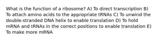 What is the function of a ribosome? A) To direct transcription B) To attach amino acids to the appropriate tRNAs C) To unwind the double-stranded DNA helix to enable translation D) To hold mRNA and tRNAs in the correct positions to enable translation E) To make more mRNA