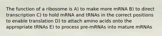 The function of a ribosome is A) to make more mRNA B) to direct transcription C) to hold mRNA and tRNAs in the correct positions to enable translation D) to attach amino acids onto the appropriate tRNAs E) to process pre-mRNAs into mature mRNAs