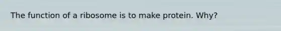 The function of a ribosome is to make protein. Why?