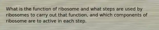 What is the function of ribosome and what steps are used by ribosomes to carry out that function, and which components of ribosome are to active in each step.