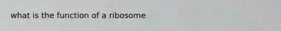 what is the function of a ribosome