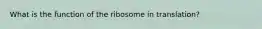 What is the function of the ribosome in translation?