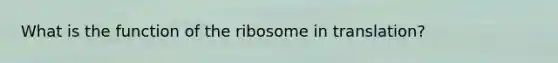 What is the function of the ribosome in translation?