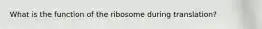 What is the function of the ribosome during translation?