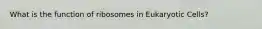 What is the function of ribosomes in Eukaryotic Cells?