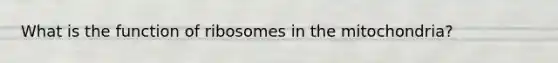 What is the function of ribosomes in the mitochondria?