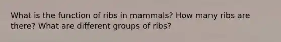 What is the function of ribs in mammals? How many ribs are there? What are different groups of ribs?