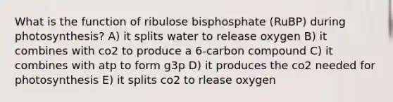 What is the function of ribulose bisphosphate (RuBP) during photosynthesis? A) it splits water to release oxygen B) it combines with co2 to produce a 6-carbon compound C) it combines with atp to form g3p D) it produces the co2 needed for photosynthesis E) it splits co2 to rlease oxygen