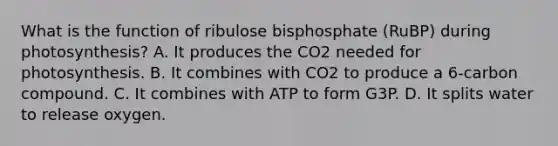 What is the function of ribulose bisphosphate (RuBP) during photosynthesis? A. It produces the CO2 needed for photosynthesis. B. It combines with CO2 to produce a 6-carbon compound. C. It combines with ATP to form G3P. D. It splits water to release oxygen.