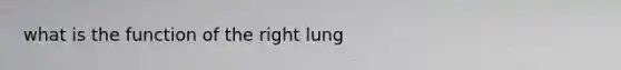 what is the function of the right lung