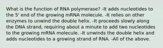 What is the function of RNA polymerase? -It adds nucleotides to the 5' end of the growing mRNA molecule. -It relies on other enzymes to unwind the double helix. -It proceeds slowly along the DNA strand, requiring about a minute to add two nucleotides to the growing mRNA molecule. -It unwinds the double helix and adds nucleotides to a growing strand of RNA. -All of the above.