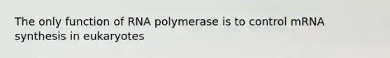 The only function of RNA polymerase is to control mRNA synthesis in eukaryotes