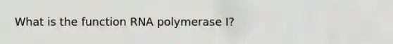 What is the function RNA polymerase I?