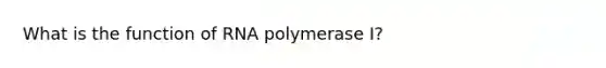 What is the function of RNA polymerase I?