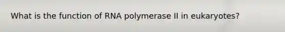 What is the function of RNA polymerase II in eukaryotes?