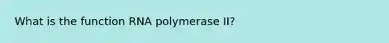 What is the function RNA polymerase II?