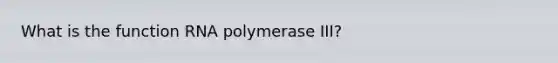 What is the function RNA polymerase III?