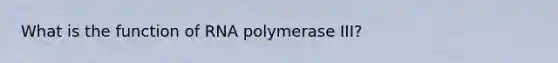 What is the function of RNA polymerase III?