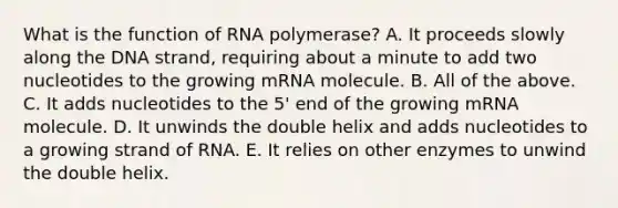 What is the function of RNA polymerase? A. It proceeds slowly along the DNA strand, requiring about a minute to add two nucleotides to the growing mRNA molecule. B. All of the above. C. It adds nucleotides to the 5' end of the growing mRNA molecule. D. It unwinds the double helix and adds nucleotides to a growing strand of RNA. E. It relies on other enzymes to unwind the double helix.