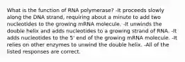 What is the function of RNA polymerase? -It proceeds slowly along the DNA strand, requiring about a minute to add two nucleotides to the growing mRNA molecule. -It unwinds the double helix and adds nucleotides to a growing strand of RNA. -It adds nucleotides to the 5' end of the growing mRNA molecule. -It relies on other enzymes to unwind the double helix. -All of the listed responses are correct.