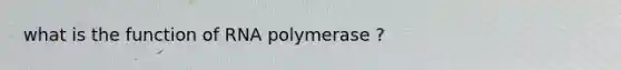 what is the function of RNA polymerase ?