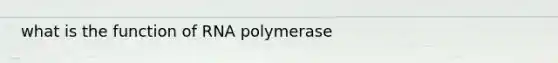 what is the function of RNA polymerase