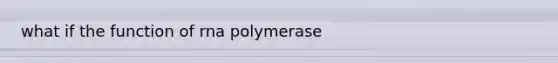 what if the function of rna polymerase