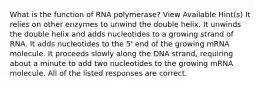 What is the function of RNA polymerase? View Available Hint(s) It relies on other enzymes to unwind the double helix. It unwinds the double helix and adds nucleotides to a growing strand of RNA. It adds nucleotides to the 5' end of the growing mRNA molecule. It proceeds slowly along the DNA strand, requiring about a minute to add two nucleotides to the growing mRNA molecule. All of the listed responses are correct.