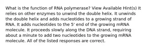 What is the function of RNA polymerase? View Available Hint(s) It relies on other enzymes to unwind the double helix. It unwinds the double helix and adds nucleotides to a growing strand of RNA. It adds nucleotides to the 5' end of the growing mRNA molecule. It proceeds slowly along the DNA strand, requiring about a minute to add two nucleotides to the growing mRNA molecule. All of the listed responses are correct.