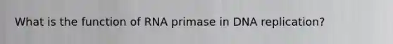 What is the function of RNA primase in DNA replication?